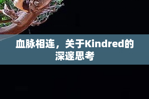 关于Kindred的深邃思考图片