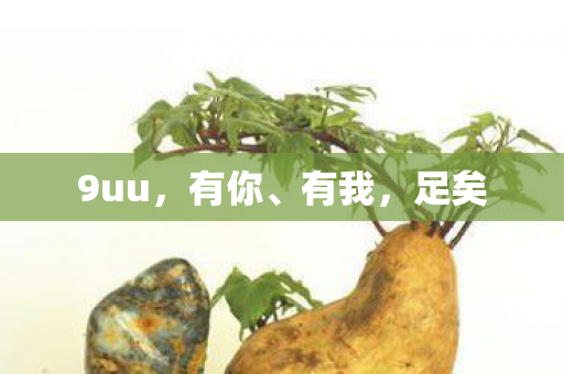 9uu图片