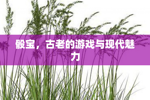 古老的游戏与现代魅力图片