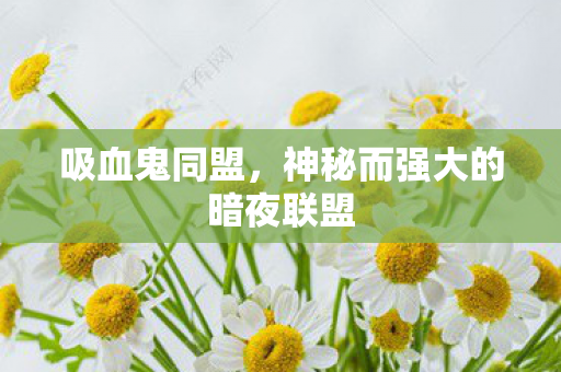 神秘而强大的暗夜联盟图片