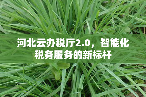 智能化税务服务的新标杆图片