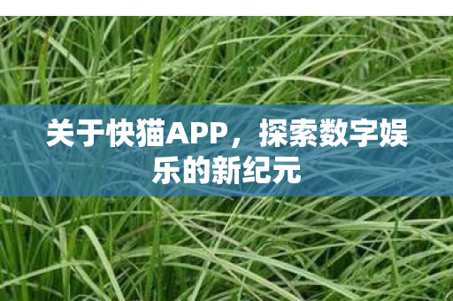 探索数字娱乐的新纪元图片