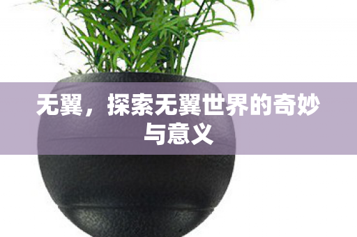 探索无翼世界的奇妙与意义图片