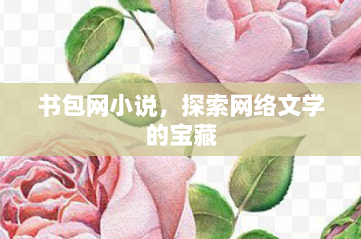 探索网络文学的宝藏图片