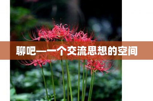 一个交流思想的空间图片
