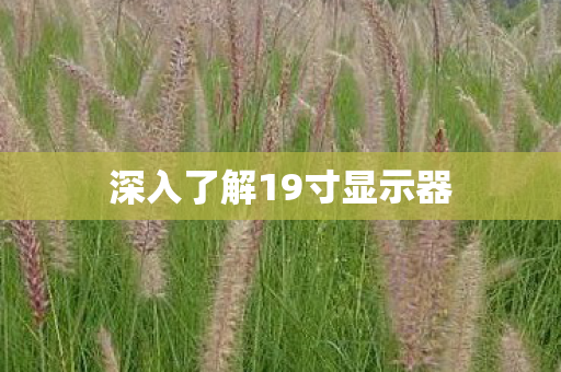 深入了解19寸显示器图片