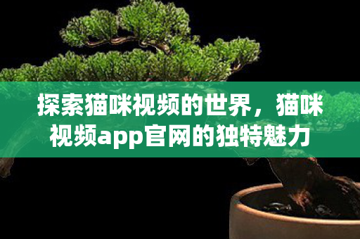 猫咪视频app官网的独特魅力图片