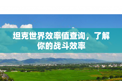 坦克世界效率值查询图片