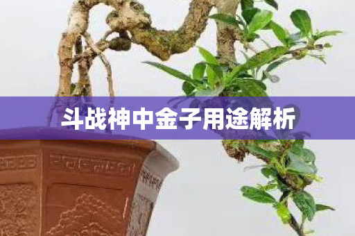 斗战神中金子用途解析图片