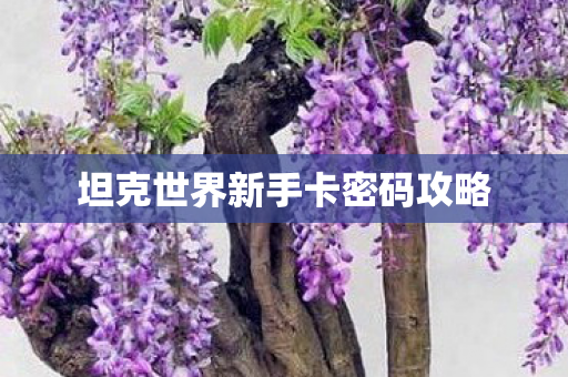 坦克世界新手卡密码攻略图片