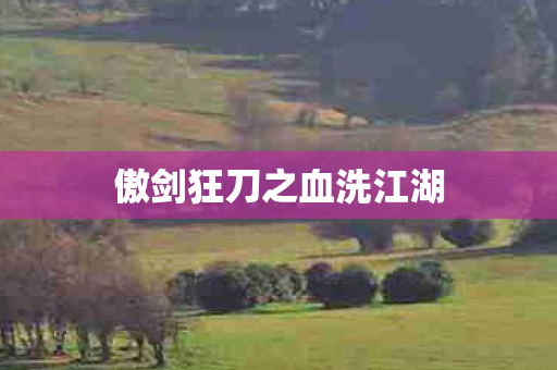 傲剑狂刀之血洗江湖图片