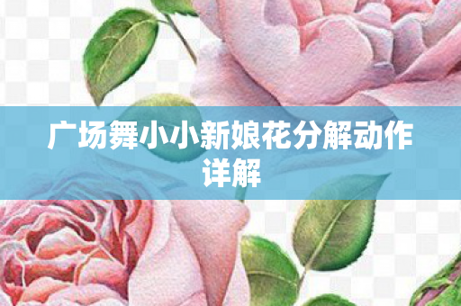 广场舞小小新娘花分解动作详解图片