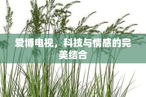 科技与情感的完美结合图片