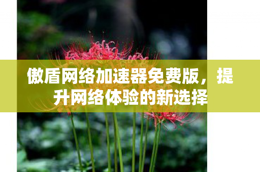 傲盾网络加速器免费版图片