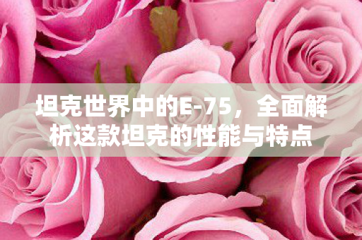 全面解析这款坦克的性能与特点图片