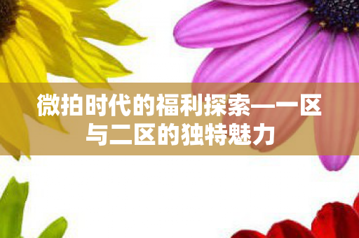 一区与二区的独特魅力图片