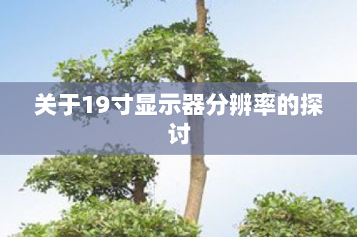 关于19寸显示器分辨率的探讨图片