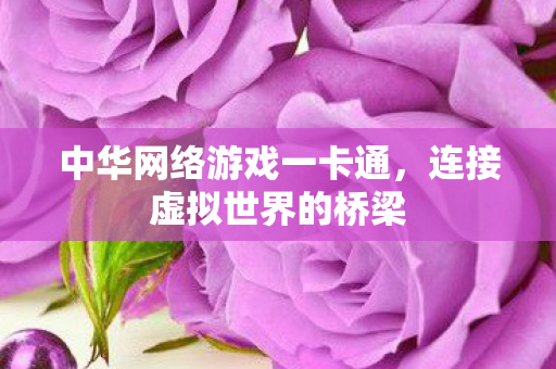 中华网络游戏一卡通图片