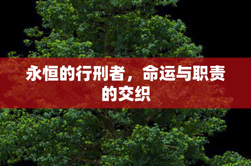命运与职责的交织图片