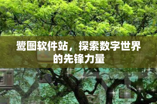 探索数字世界的先锋力量图片