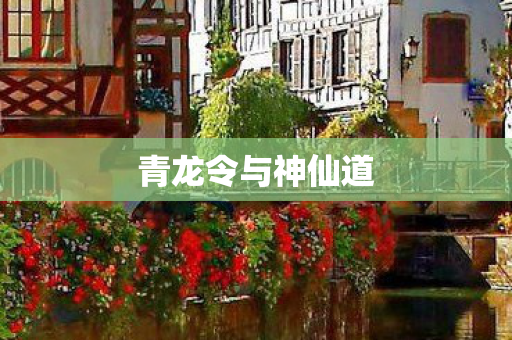 青龙令与神仙道图片