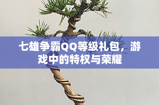 七雄争霸QQ等级礼包图片