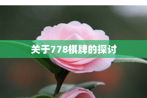 关于778棋牌的探讨图片