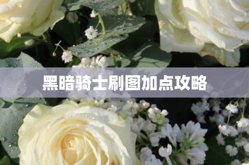 黑暗骑士刷图加点攻略图片