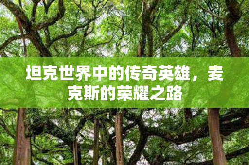 坦克世界中的传奇英雄图片