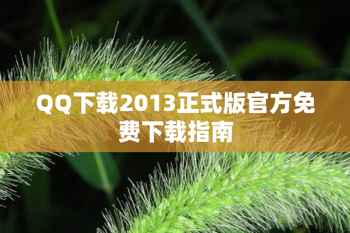 QQ下载2013正式版官方免费下载指南图片