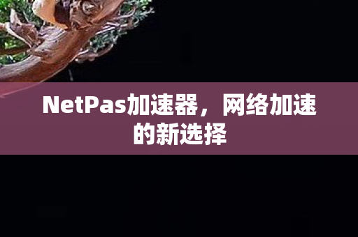 NetPas加速器图片