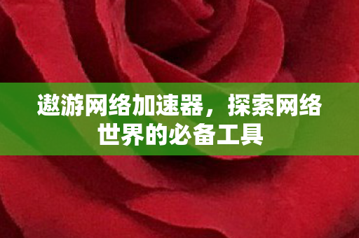 探索网络世界的必备工具图片