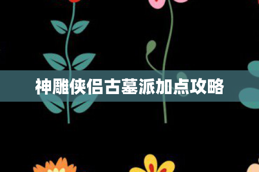 神雕侠侣古墓派加点攻略图片
