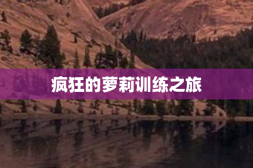 疯狂的萝莉训练之旅图片