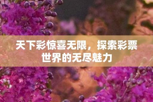 探索彩票世界的无尽魅力图片