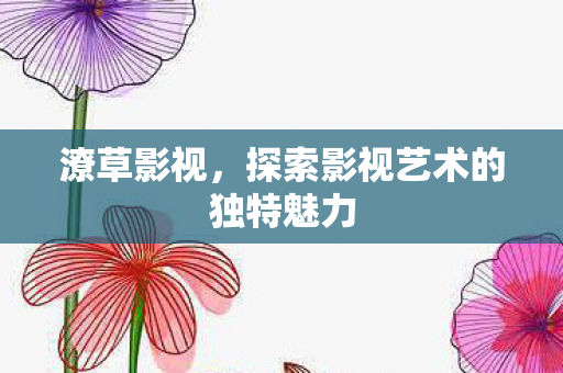探索影视艺术的独特魅力图片
