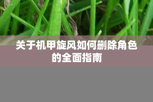 关于机甲旋风如何删除角色的全面指南图片