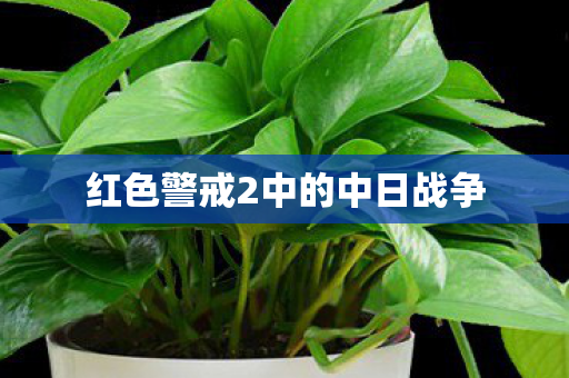 红色警戒2中的中日战争图片