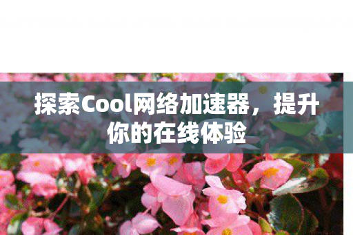 探索Cool网络加速器图片