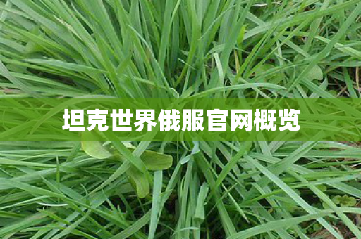 坦克世界俄服官网概览图片