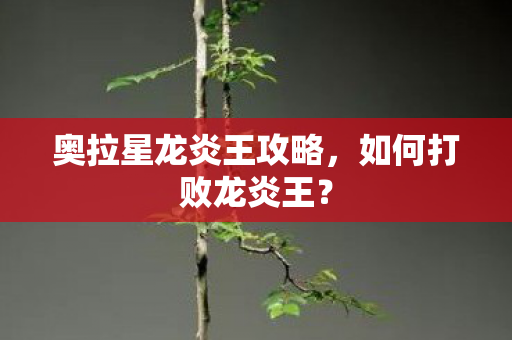 奥拉星龙炎王攻略图片