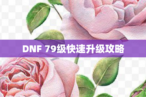 DNF 79级快速升级攻略图片