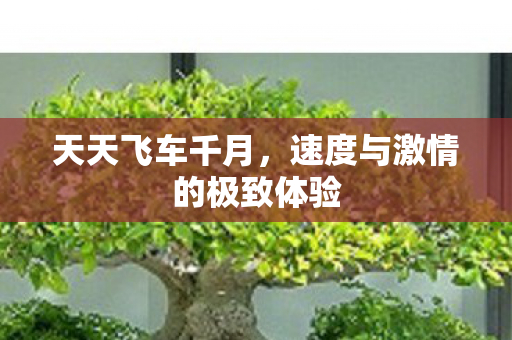 速度与激情的极致体验图片