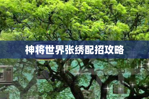 神将世界张绣配招攻略图片