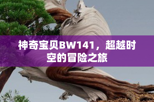 神奇宝贝BW141图片