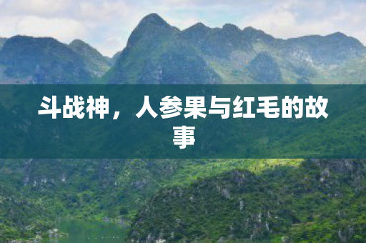 人参果与红毛的故事图片