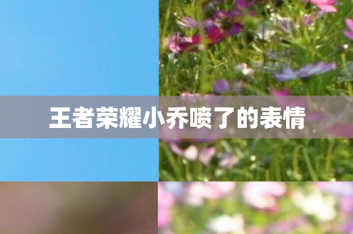 王者荣耀小乔喷了的表情图片