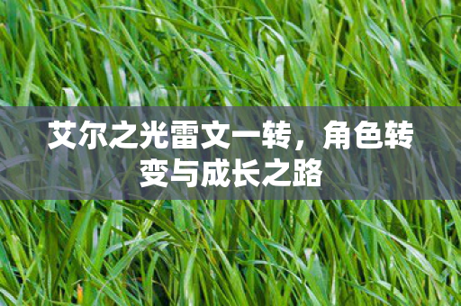 角色转变与成长之路图片