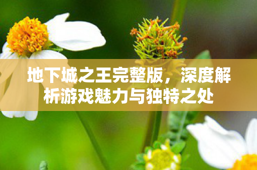 深度解析游戏魅力与独特之处图片