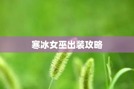 寒冰女巫出装攻略图片